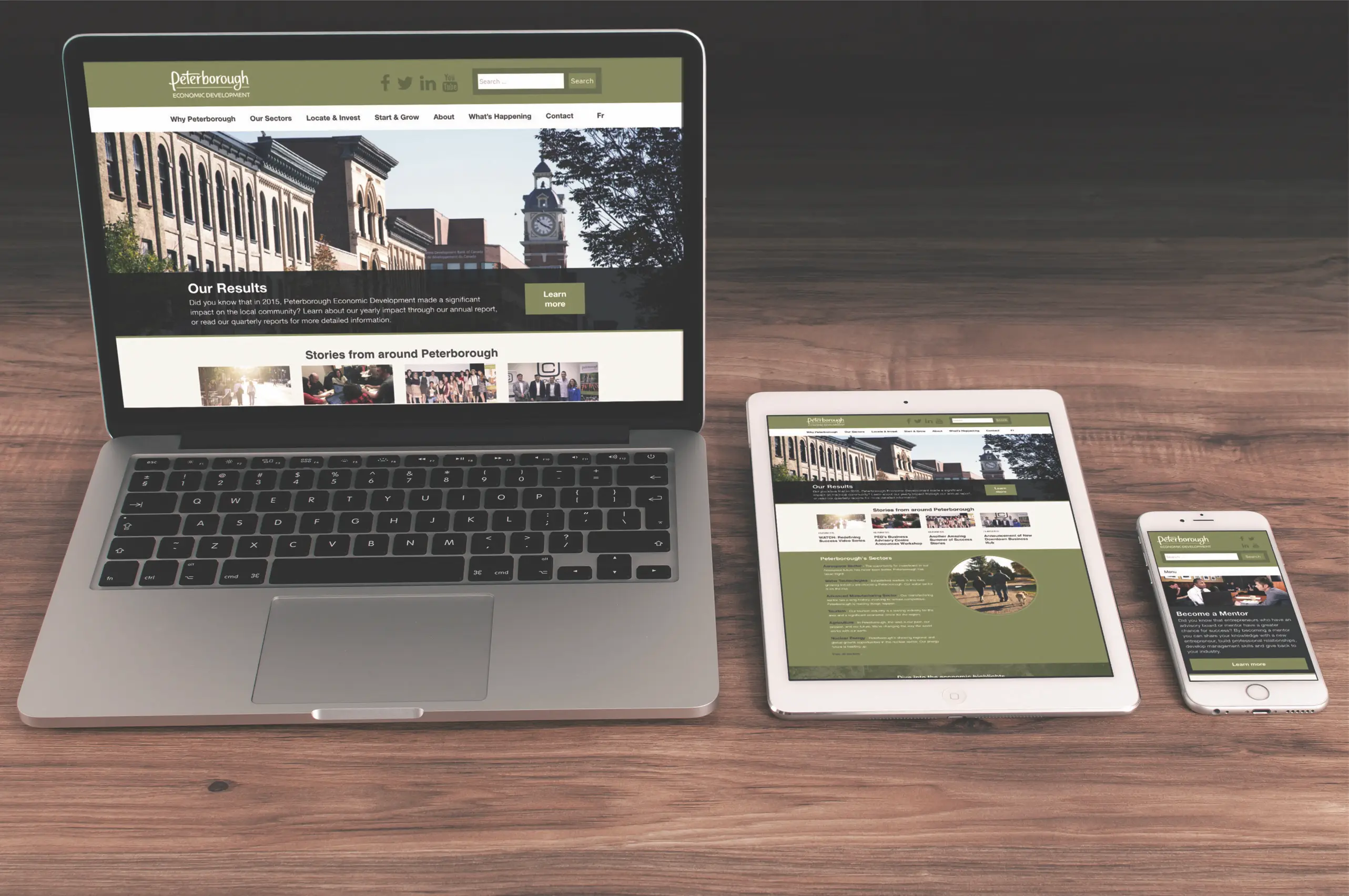 Website mockup for PED project